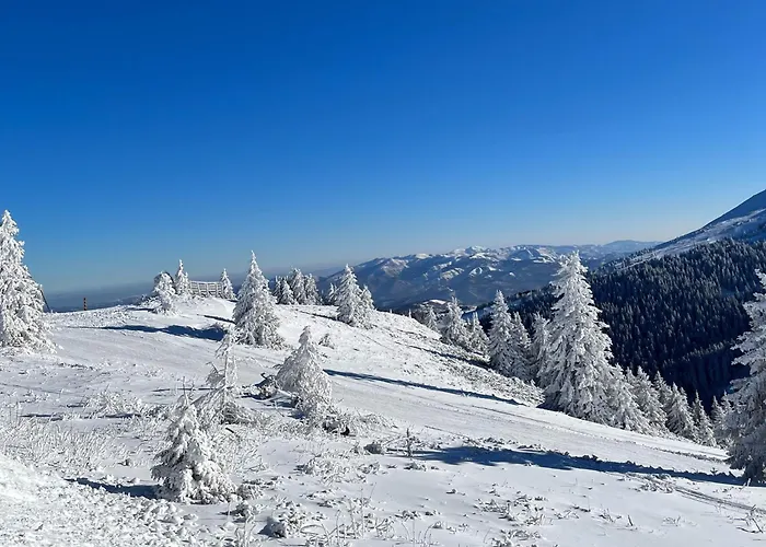 Hotel Junior Kopaonik