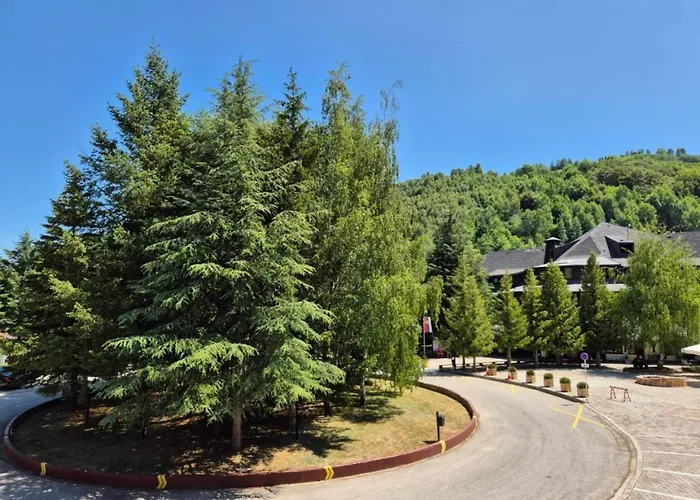 Hotel Junior Kopaonik