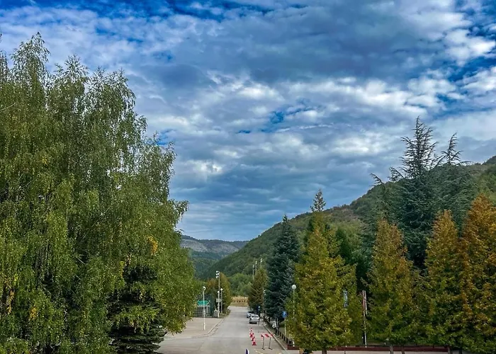 Hotel Junior Kopaonik